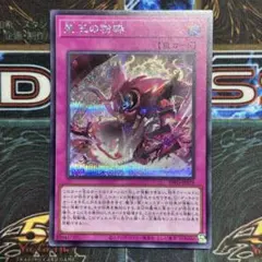遊戯王 聖王の粉砕 ドミナスパージ　シークレットレア
