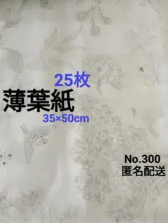 Item thumbnail for item 01fcab2f-c96b-4dc8-9376-717e4124a9f4