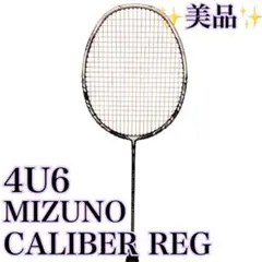 2026年最新】MIZUNO REGの人気アイテム - メルカリ