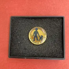 417★フランス雑貨★ピンズ　ピンバッジ　ピンバッチ　ヴィンテージ★