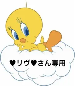 ♥︎リヴ♥︎さん専用