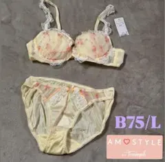 ＊新品＊トリンプ【アモスタイル】ブラ ショーツ セット B75/L
