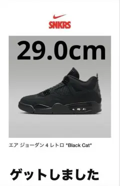 エア ジョーダン 4 レトロ "Black Cat" 29.0cm