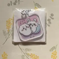 ちいかわアクリルミニアクリルキーチェーン3 ちいかわ＆モモンガ