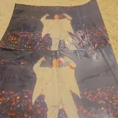 莉犬 クリアポスター2点セット