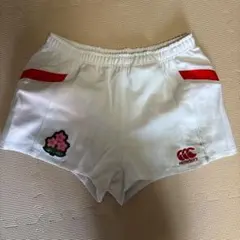 Item thumbnail for item ee312f20-de32-498b-b391-1b7ebba004fe