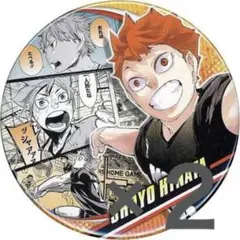 ハイキュー 日向翔陽 コレクション 缶バッジ memories 2個セット