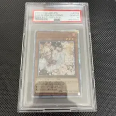 2025年最新】うらら 20th psa10の人気アイテム - メルカリ