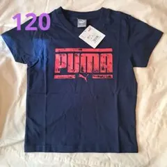 PUMA キッズ Tシャツ 120 ネイビー
