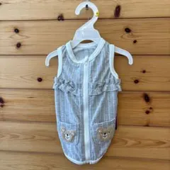 ⑥ストライプ グレー犬服4号