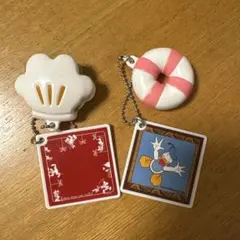 東京ディズニーリゾート キーホルダー 2個セット　うきわまん　パオ