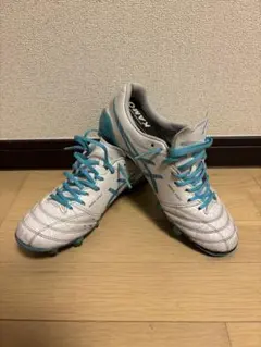 DS LIGHT X-FLY5 25.5㎝ インソール靴紐未使用 - メルカリ