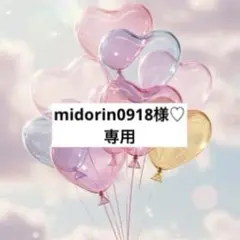 midorin0918様 リクエスト 2点 まとめ商品