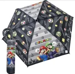 Item thumbnail for item 91b9963d-788f-43f7-b043-0c3f6134e889