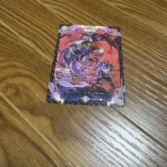 t*a様 【微日焼け個体】メテオブラックドラゴン オーバーラッシュ