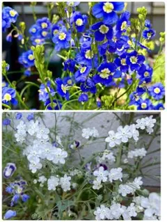 parumama様 リクエスト 2点 まとめ商品