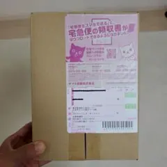 ポケカ　レイジングサーフ1box