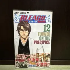 2025年最新】初版 bleachの人気アイテム - メルカリ