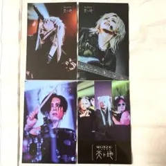 真天地開闢集団