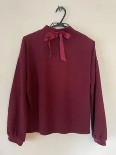 earth music &ecologyのボルドーのトップス