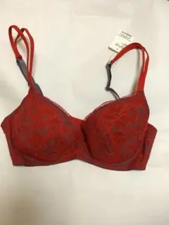 ランジェリーク赤レースブラジャー 希少F65のサムネイル