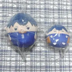 ハイキュー‼︎ アニメイト　くじメイト　ぬいくじ　D賞　E賞　影山飛雄　烏野