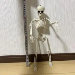 ガイコツ 骨 可動式 ハロウィン フィギュア