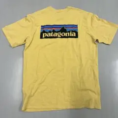 パタゴニア　Tシャツ