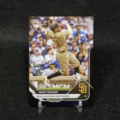 Item thumbnail for item d77ba34b-01e1-4c70-96e8-51aaf29d4898