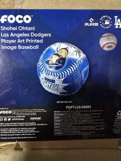 2026年最新】大谷翔平ボールケースの人気アイテム - メルカリ