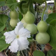 minh様 リクエスト 2点 まとめ商品