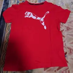 PUMA 赤色 Tシャツ 150サイズ