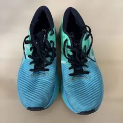 NIKE ペガサス39 駅伝パック - メルカリ