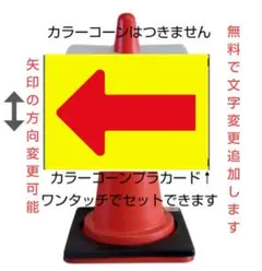 Item thumbnail for item c17ce631-61ae-4295-ad02-a877186282bd