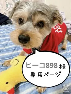 ヒーコ898様 リクエスト 2点 まとめ商品