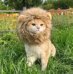 Item thumbnail for item c4faf5f5-368f-4299-b5b0-d0d7bfa88f32