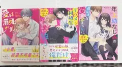 野いちご文庫/あいら/小説3点セット