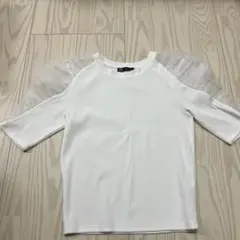 ZARA フリル付きホワイト半袖Tシャツ