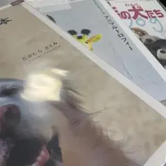 フェルト本　3品