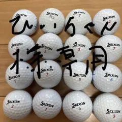 ひいちゃん様専用　ロストボールセット Srixon