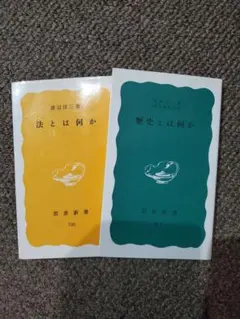 Item thumbnail for item ca46b51e-f66d-47d0-b6b7-ba42551a3aad