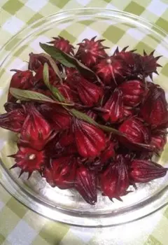 2026年最新】ローゼルティーの人気アイテム - メルカリ