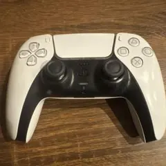 PS5コントローラージャンク品(お小遣い稼ぎたい)