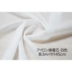 Item thumbnail for item a99d6667-2671-4c77-87dc-6550c73810ab