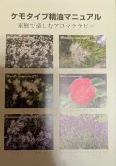 ケモタイプ精油マニュアル 家庭で楽しむアロマテラピー