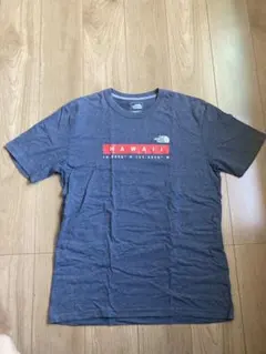 THE NORTH FACE HAWAII Tシャツ Mサイズ グレー