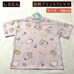 【新品】しろたん 総柄プリントTシャツ サイズ100cm