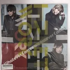 TM NETWORK Whatever Comes LPレコード