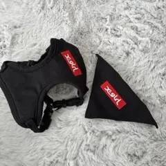 Item thumbnail for item dcd7e1a3-4f9f-436e-bc08-2f91cbe4a530