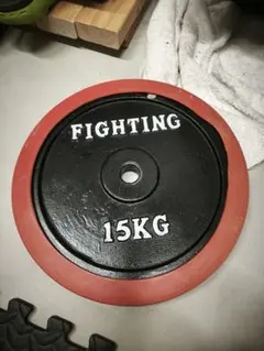 2025年最新】ファイティングロード プレート 15kgの人気アイテム